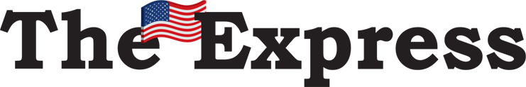 website logo